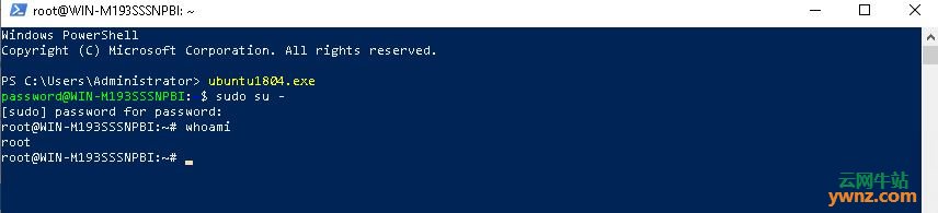 使用WSL在Windows Server 2019上运行Linux的方法